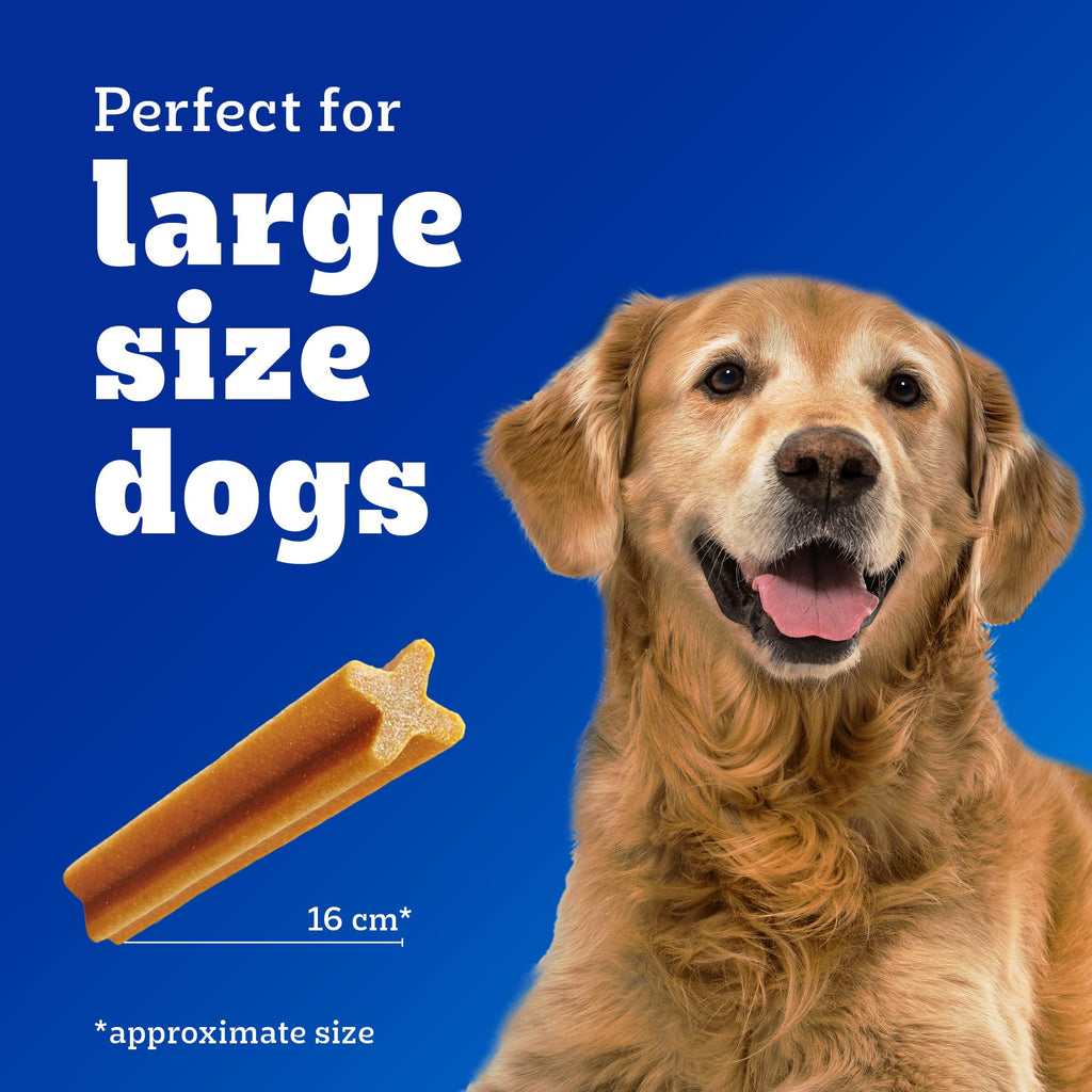 Pedigree Dentastix Oral Care Dog Treat, Adult Large Breed (25+ kg), 1.08 kg, Recommended by Vets, Supports Gum Health, Reduces Risk of Gum diseases