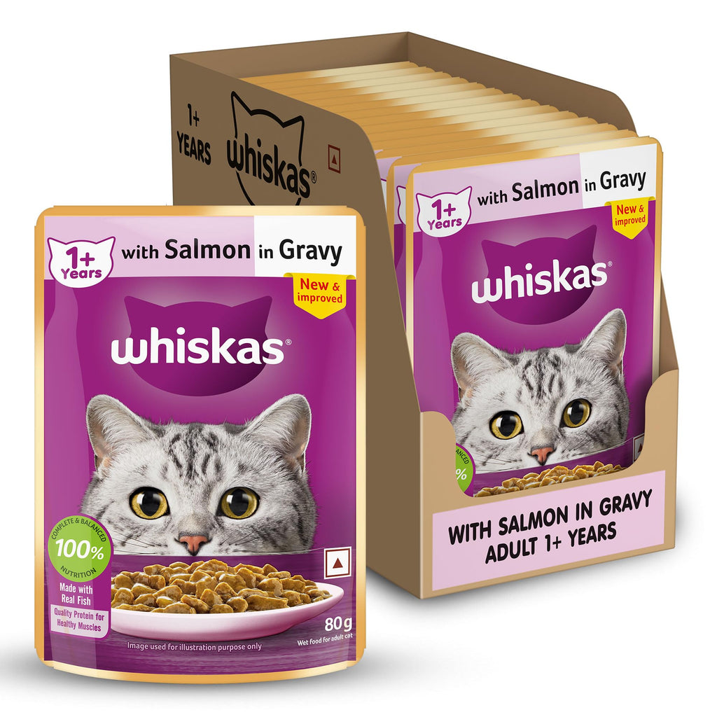 Whiskas Adult (1+ Years) Wet Cat Food, Salmon in Gravy, 80 g (Pack of 14), Hydrating Food Made With Real Fish, 100% Complete & Balanced Nutrition for Adult Cats