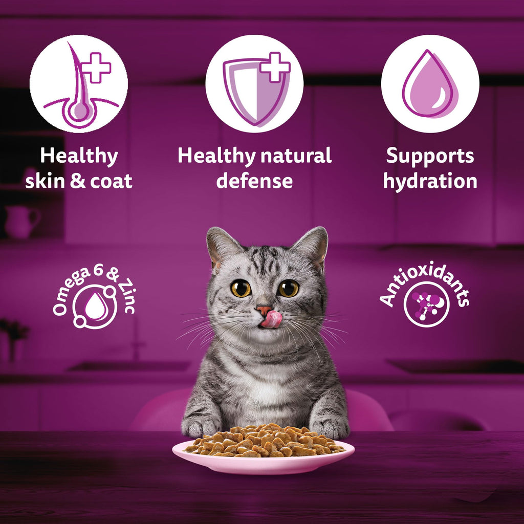 Whiskas Adult (1+ Years) Wet Cat Food, Salmon in Gravy, 80 g (Pack of 14), Hydrating Food Made With Real Fish, 100% Complete & Balanced Nutrition for Adult Cats