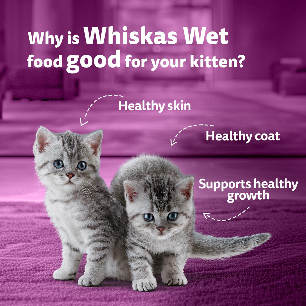 Whiskas Junior Kitten (2-12 Months) Wet Cat Food, Chicken in Gravy, 80 g (Pack of 14), Hydrating Food Made With Real Chicken, 100% Complete & Balanced Nutrition for Kittens