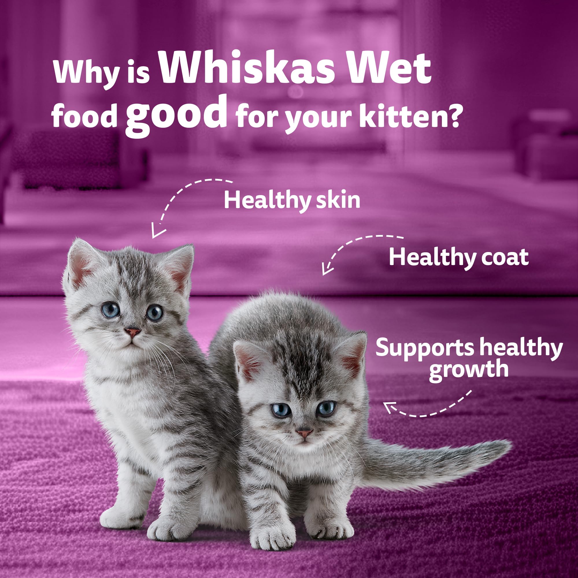 Whiskas Junior Kitten (2-12 Months) Wet Cat Food, Chicken in Gravy, 80 g (Pack of 14), Hydrating Food Made With Real Chicken, 100% Complete & Balanced Nutrition for Kittens