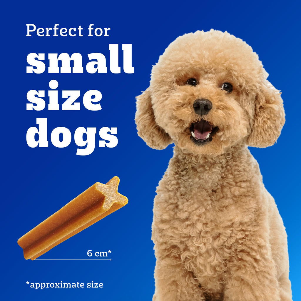 Pedigree Dentastix Oral Care Dog Treat, Adult Small Breed (5-10 kg), 440 g, Recommended by Vets, Supports Gum Health, Reduces Risk of Gum diseases