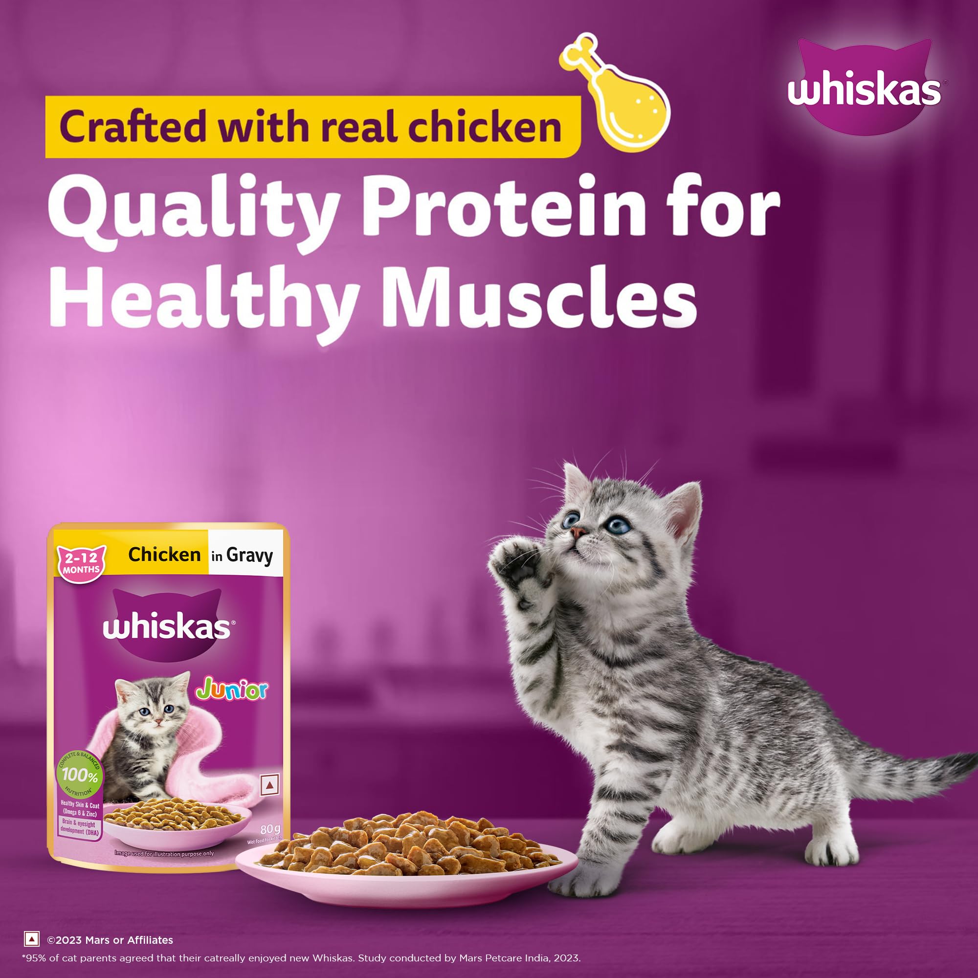 Whiskas Junior Kitten (2-12 Months) Wet Cat Food, Chicken in Gravy, 80 g (Pack of 14), Hydrating Food Made With Real Chicken, 100% Complete & Balanced Nutrition for Kittens