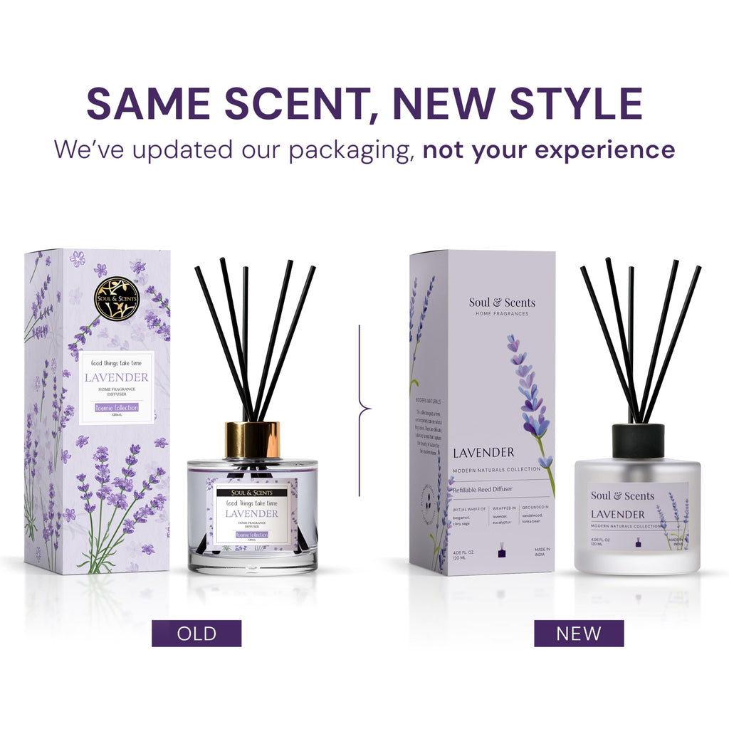 Soul & Scents Glass Lavender,Vanilla and Lemongrass Reed Diffuser Set - 120ml with Free 6 Fiber Reed Sticks Each|Toxin Free&Stress Relief|Room Freshener for Home,Bedroom&Office|Combo Pack of 3