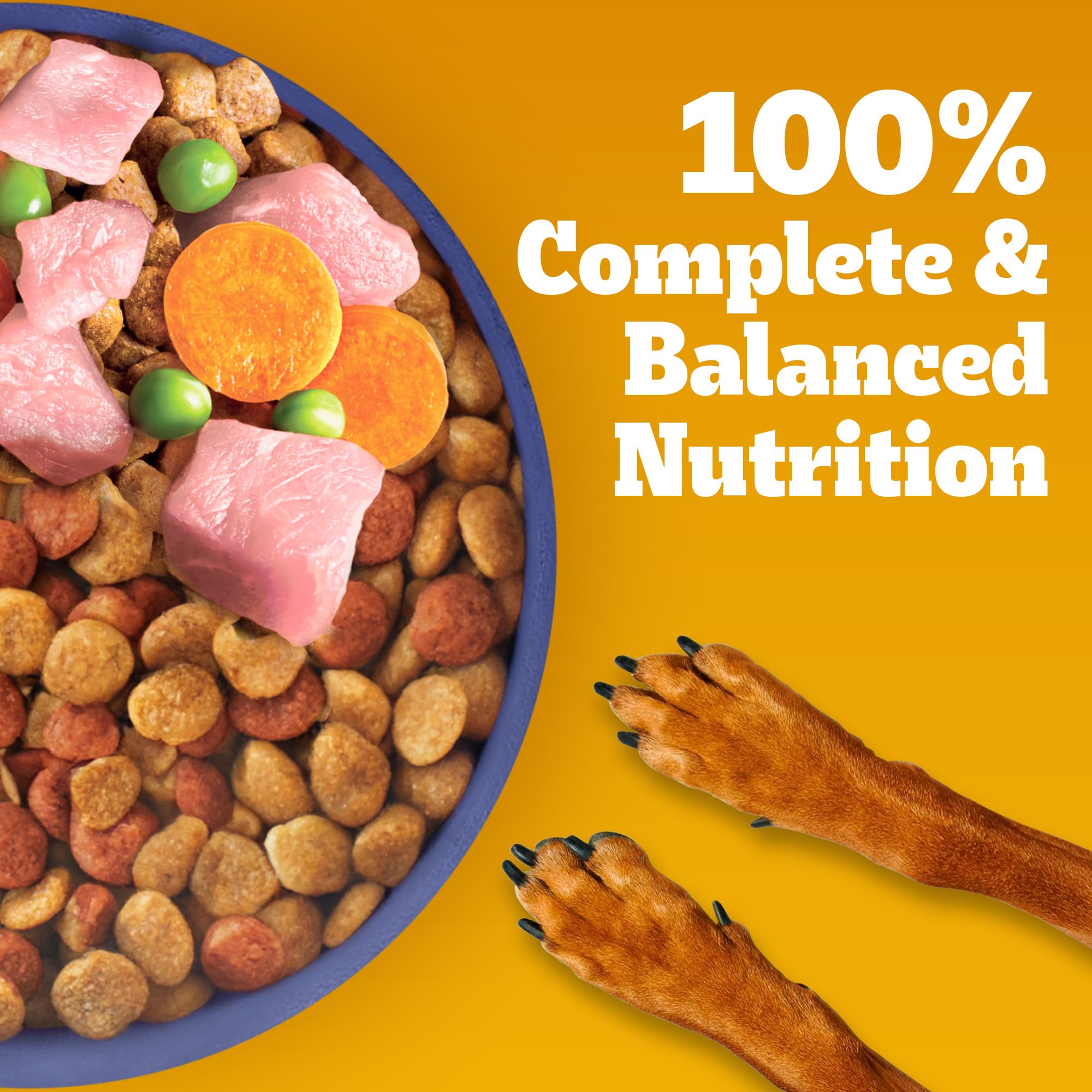 Pedigree Puppy Dry Dog Food, Chicken & Milk, 3 kg, Contains 37 Essential Nutrients, 100% Complete & Balanced Food for Puppies
