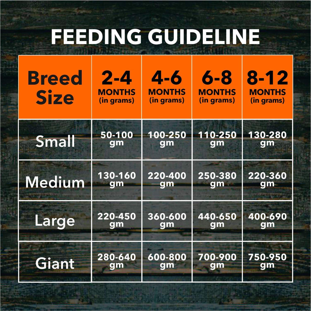 Meat Up Puppy Dry Dog Food 20kg (10kg + 10kg) | Real Chicken Flavor | Supports Brain & Nervous System Development | Promotes Digestive Health | Enriched with Vitamins and Minerals