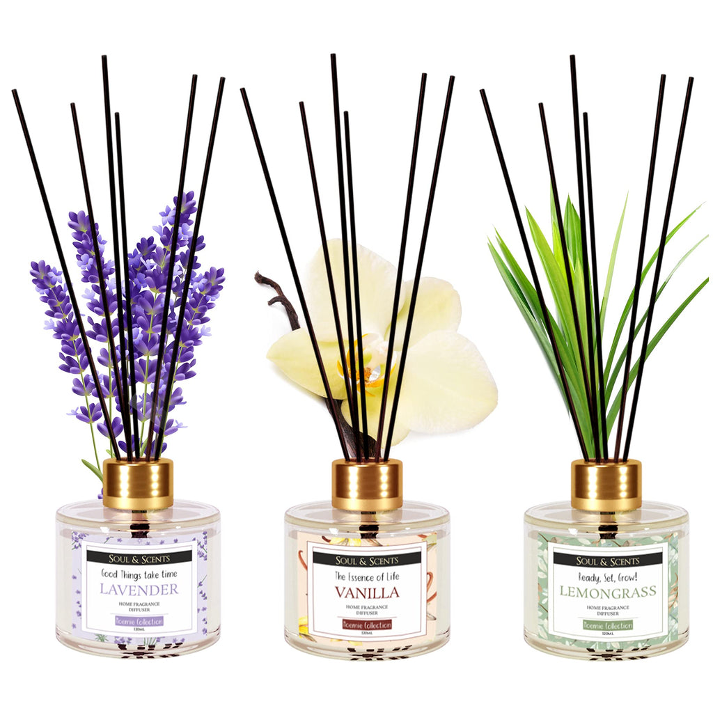 Soul & Scents Glass Lavender,Vanilla and Lemongrass Reed Diffuser Set - 120ml with Free 6 Fiber Reed Sticks Each|Toxin Free&Stress Relief|Room Freshener for Home,Bedroom&Office|Combo Pack of 3