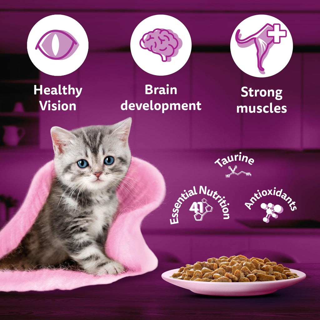 Whiskas Junior Kitten (2-12 Months) Wet Cat Food, Tuna in Jelly, 80 g (Pack of 14), Hydrating Food Made With Real Fish, 100% Complete & Balanced Nutrition for Kittens