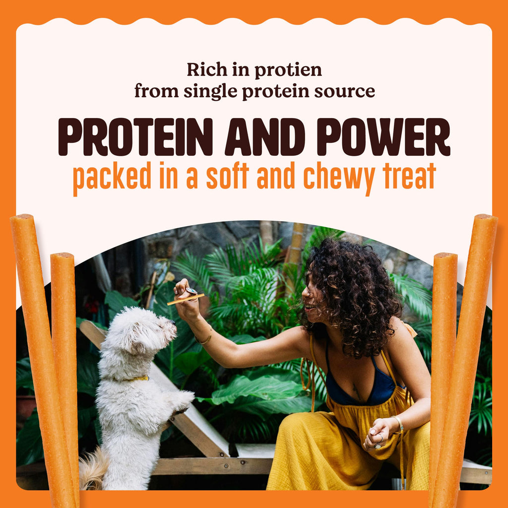 Kennel Kitchen All Life Stages Soft Baked Chicken Stick Treats for Dogs, 100g (Pack of 1)