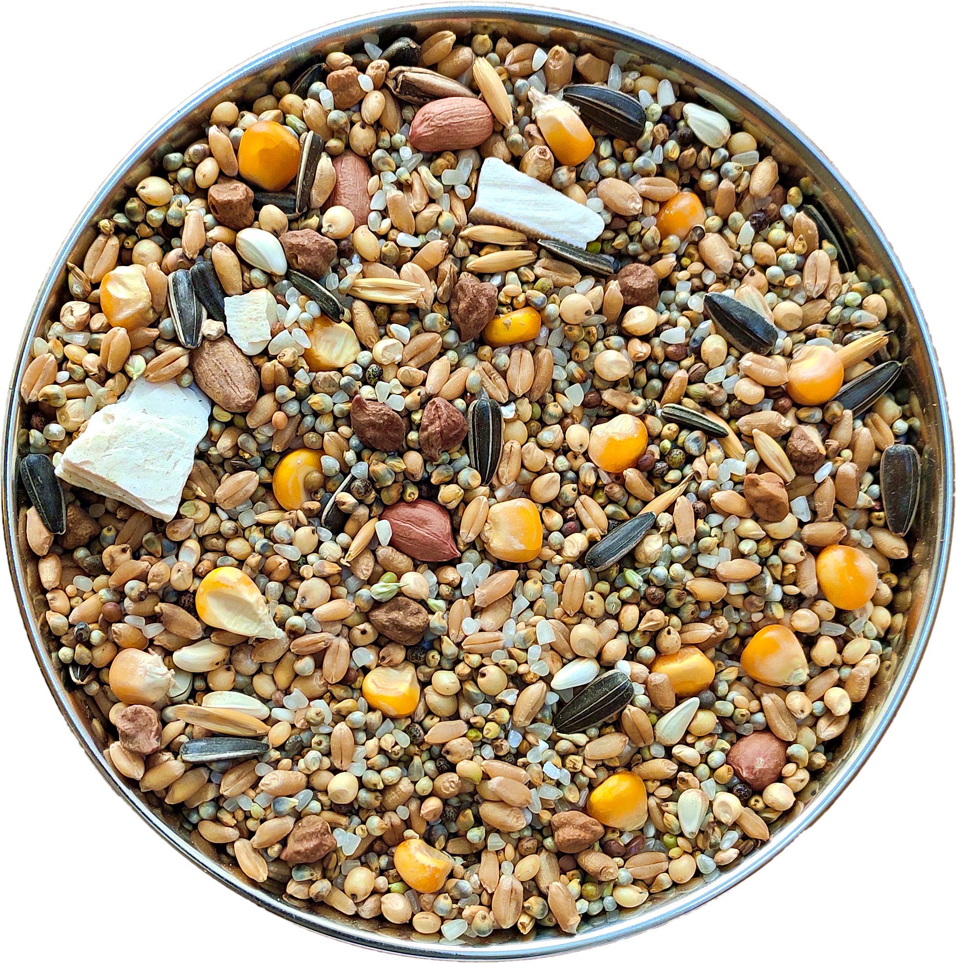 The Birds Company Premium Seed Blend of 9 Grains & Nuts, Bird Feeder Food Refill, Mix Seeds for Outside Wild Birds, Indian Parrot, Sparrow, Doves, 450 g