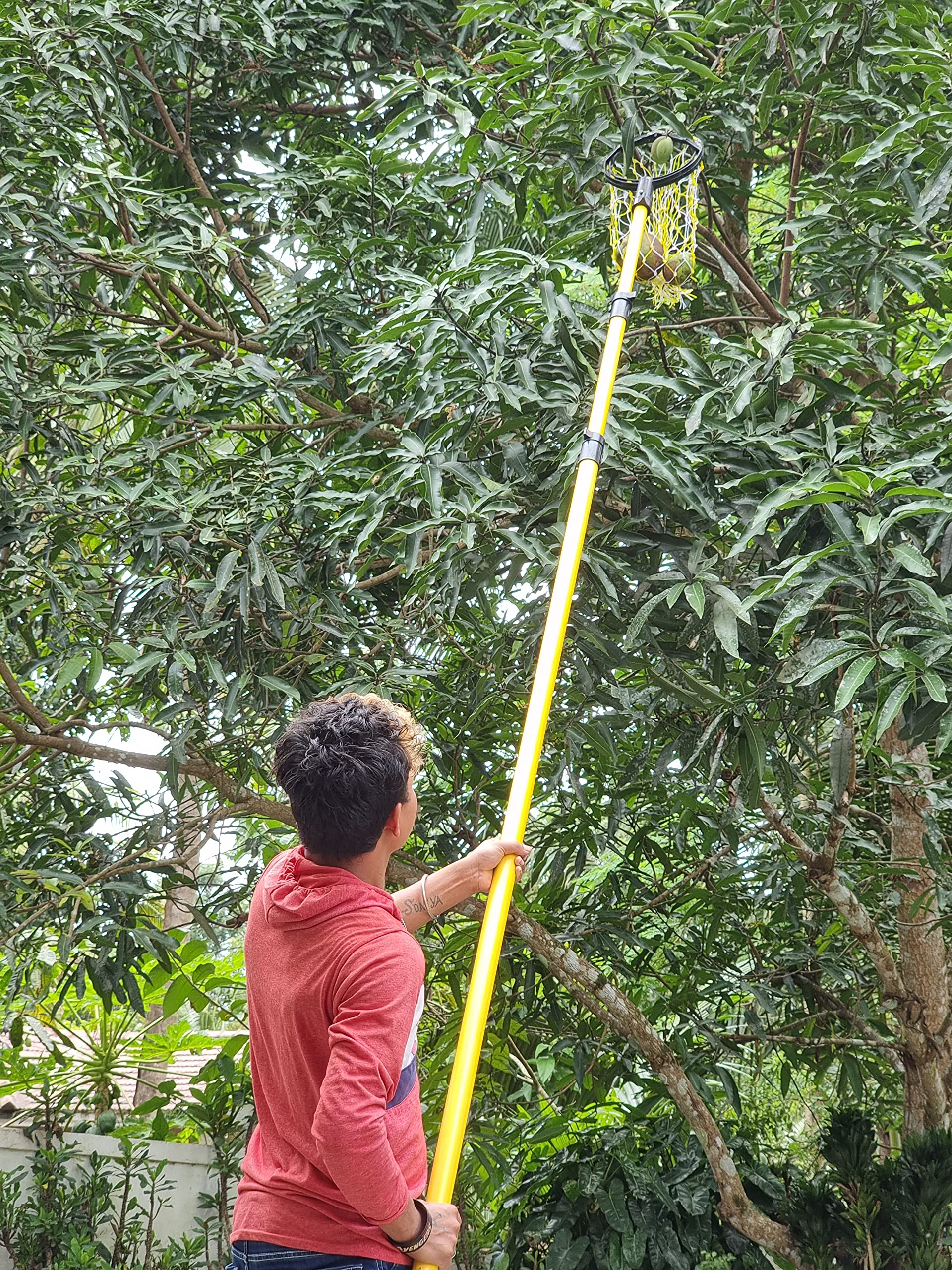 FESTEL Skytuch Shock Proof Multipurpose 8-to-24 Foot Extendable Telescopic Pole with (2 Attachments) Coconut Plucker, Mango Fruit Picker