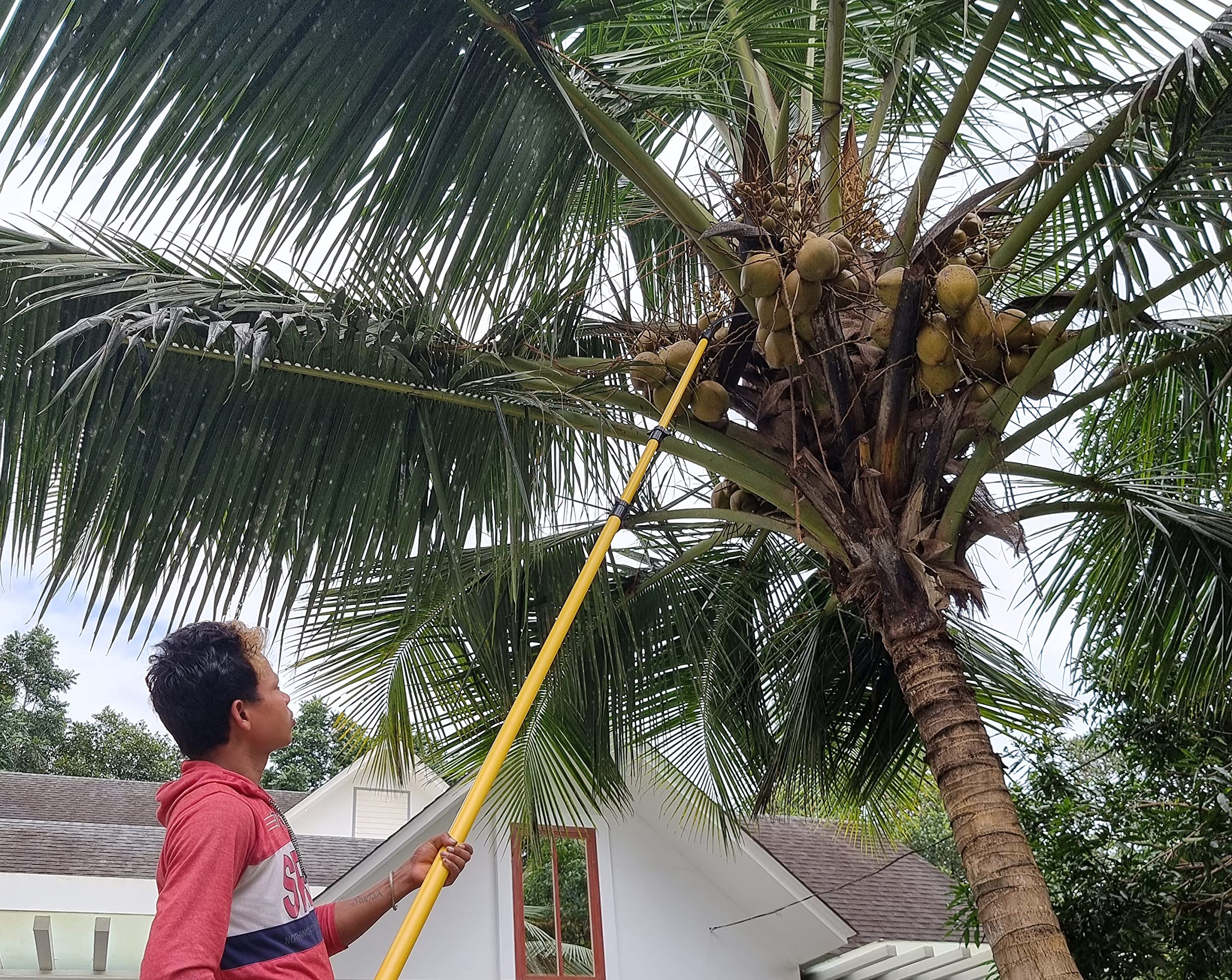 FESTEL Skytuch Shock Proof Multipurpose 8-to-24 Foot Extendable Telescopic Pole with (2 Attachments) Coconut Plucker, Mango Fruit Picker